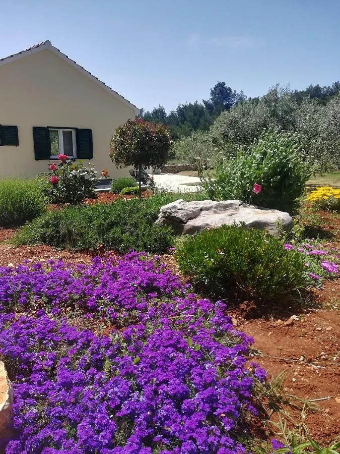 Happy Garden House Villa Kozino Holiday home