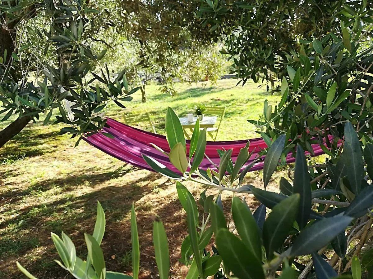 Happy Garden House Villa Kozino Holiday home